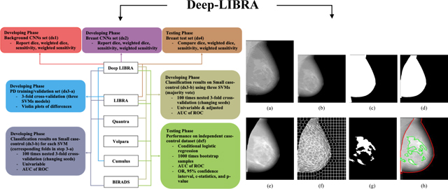 graphic file with name nihms-1725053-f0005.jpg