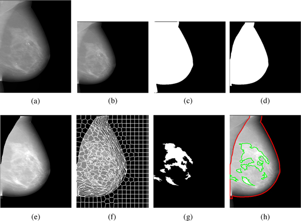 Fig. 2: