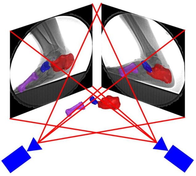 FIGURE 3
