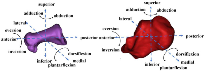 FIGURE 4