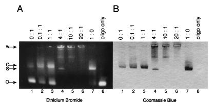 FIG. 5