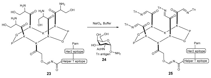 Scheme 5