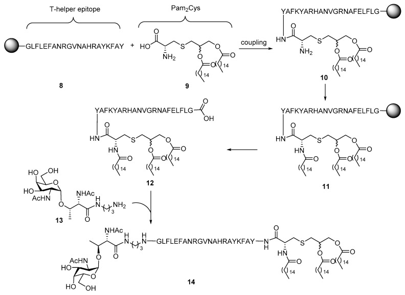 Scheme 2