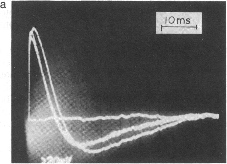 graphic file with name pnas00265-0157-a.jpg