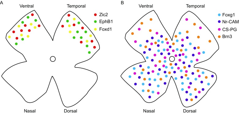 Figure 2