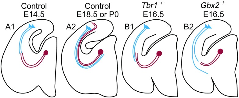 Figure 7