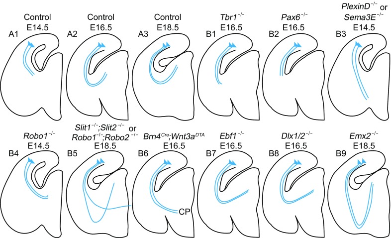 Figure 6