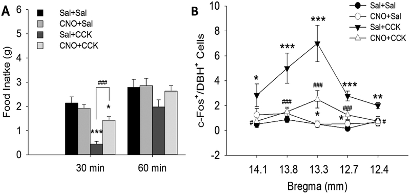 Fig. 11.