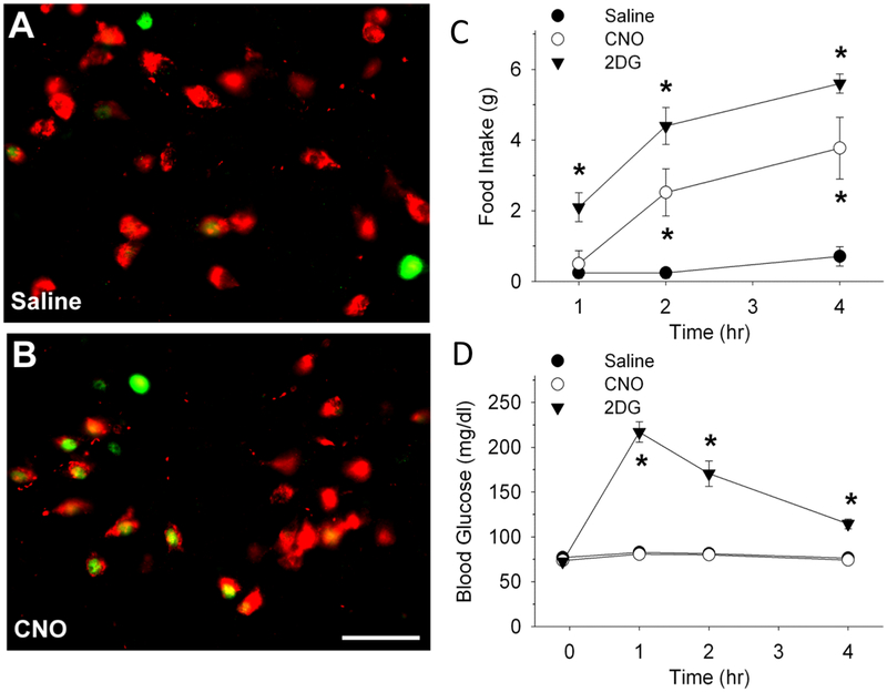 Fig. 10.