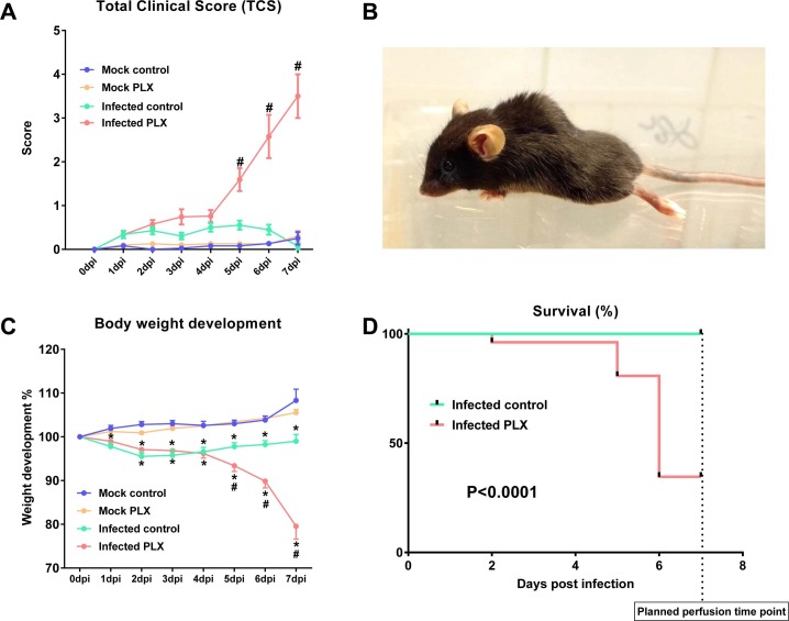 Fig. 10