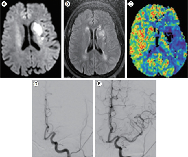 Fig. 2.