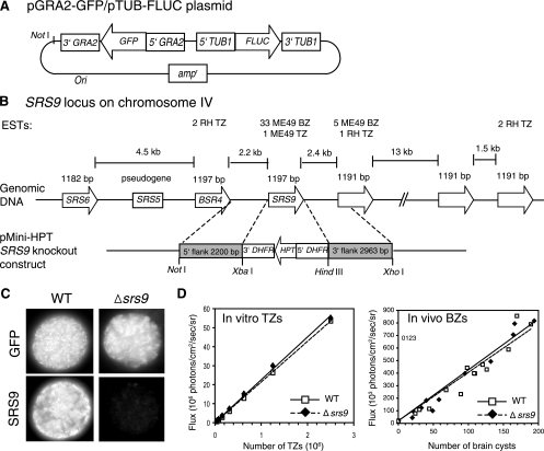 FIG. 1.