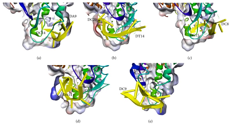 Figure 5