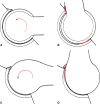 Fig. 4A–D