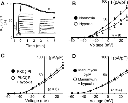 Figure 5