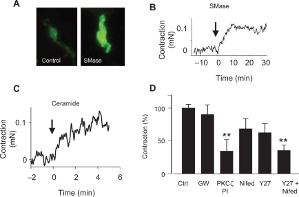 Figure 4