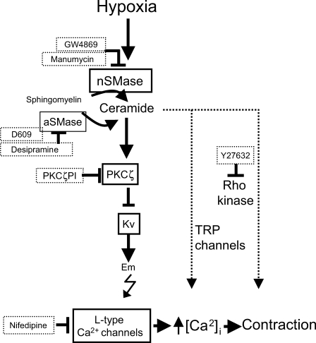 Figure 7