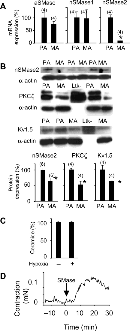 Figure 6