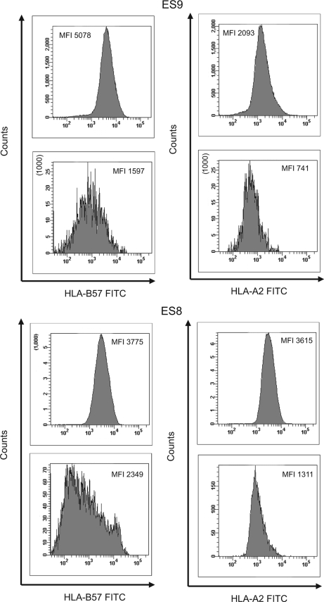 FIG. 4.