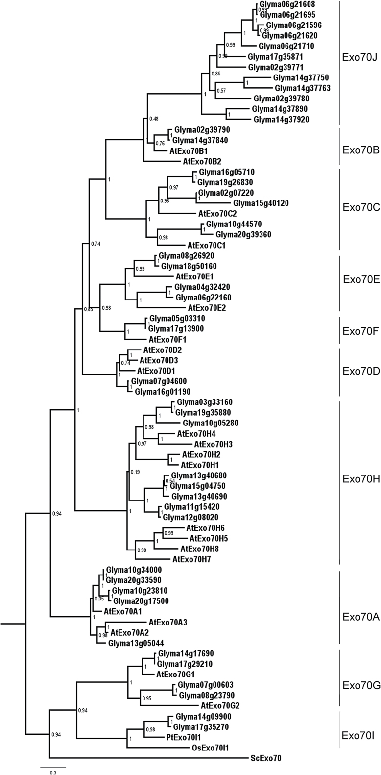 Fig. 5.