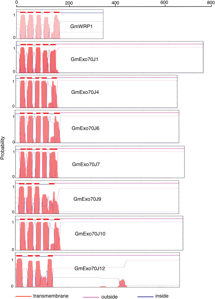 Fig. 7.