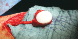 Fig. 3.