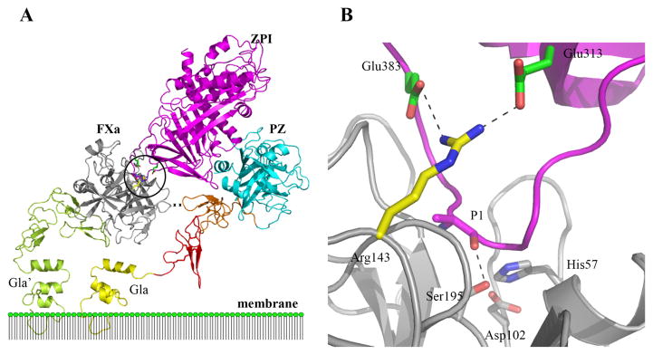 Fig 11