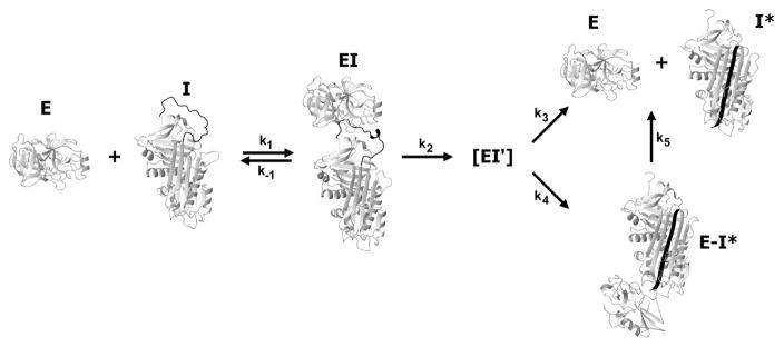 Fig 2