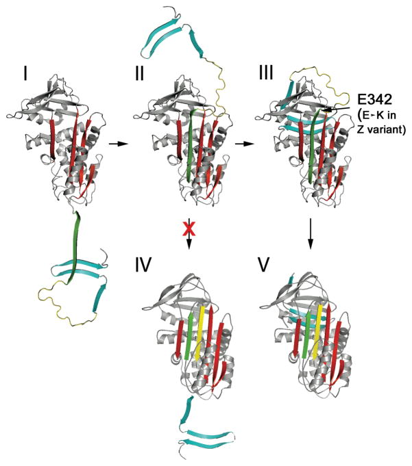 Fig 3