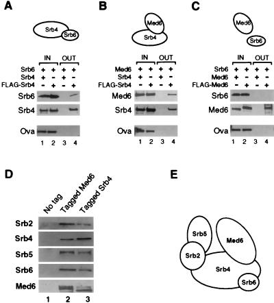 FIG. 4