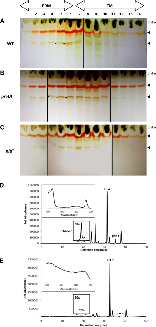 FIGURE 1.