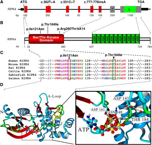 Figure 4