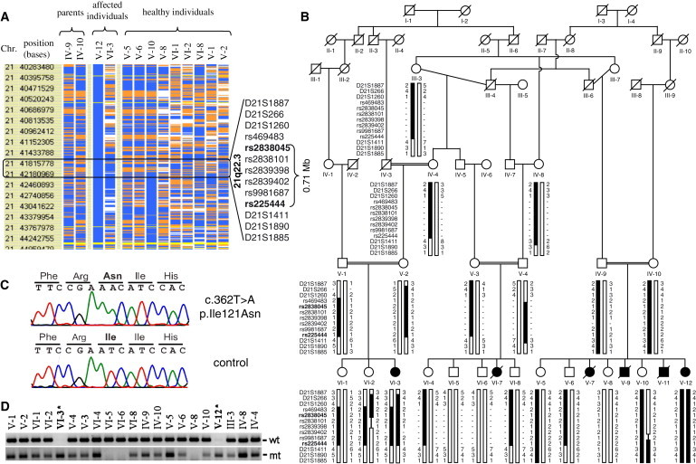 Figure 2