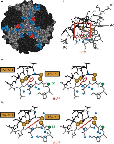 Figure 2.7