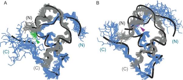 Figure 2.5