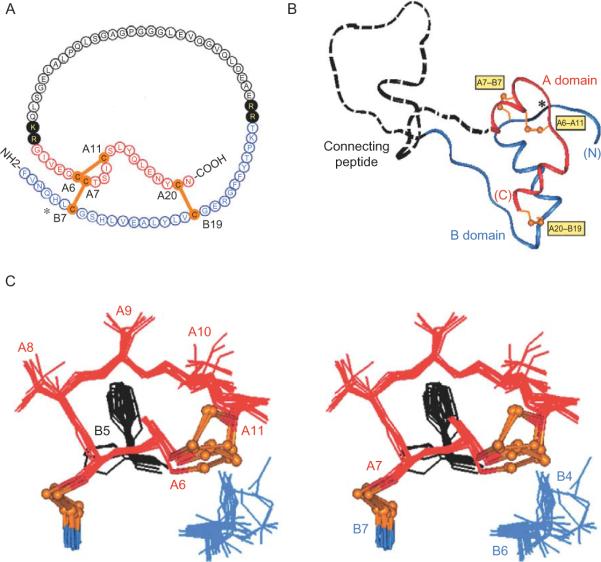 Figure 2.6