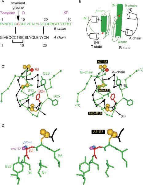 Figure 2.4