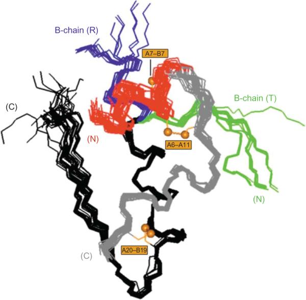 Figure 2.3