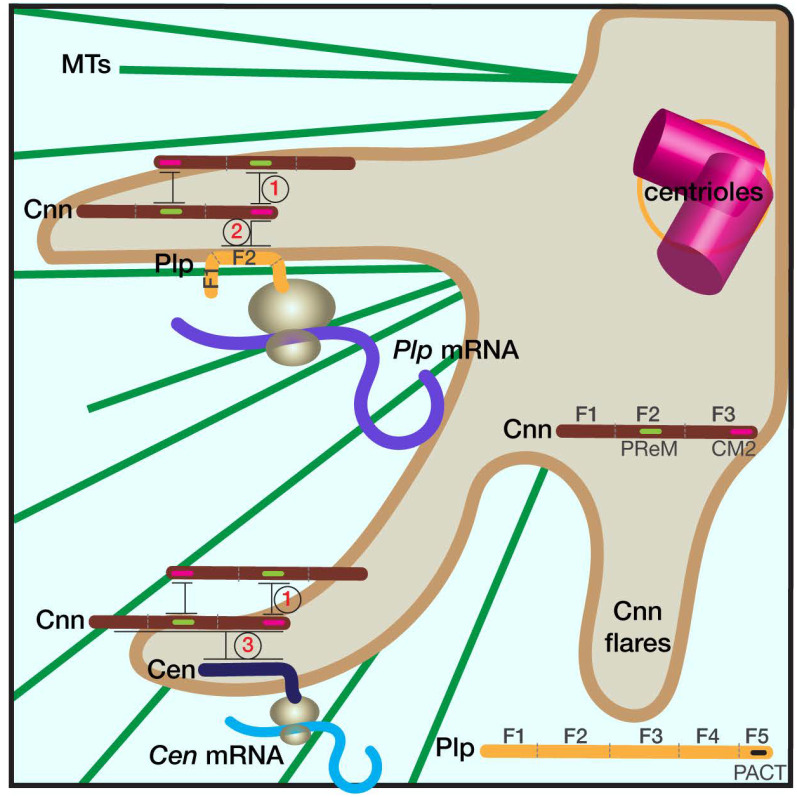 Figure 6.