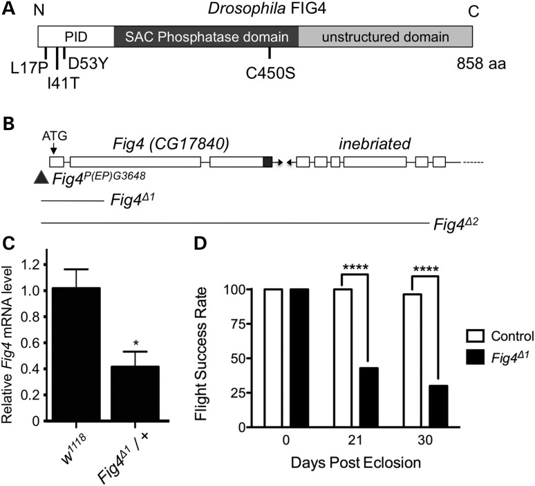 Figure 1.