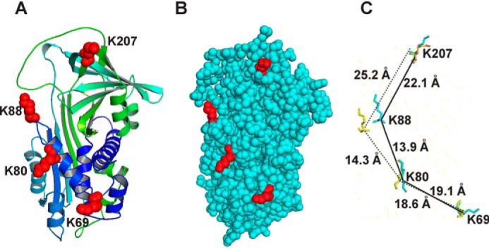 Figure 10.