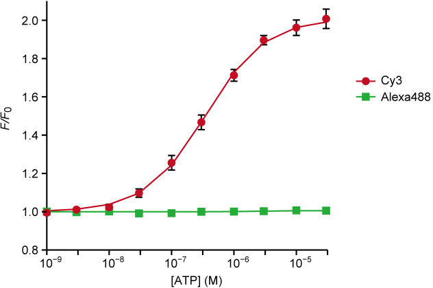 Figure 2—figure supplement 1.