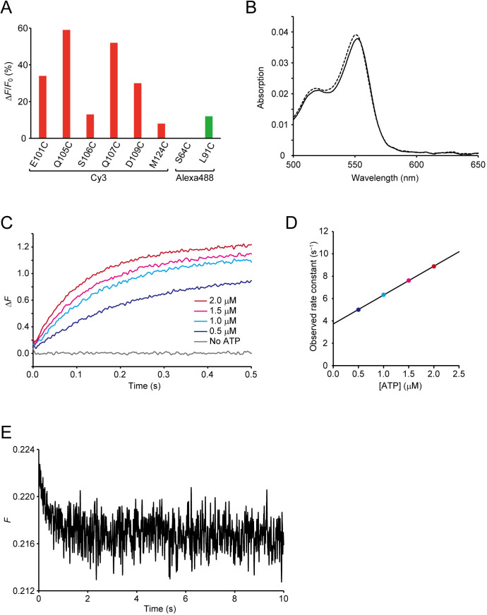 Figure 1—figure supplement 1.