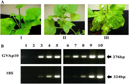 Figure 10.