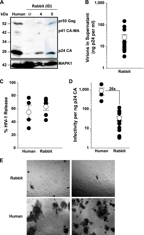 FIG. 8.