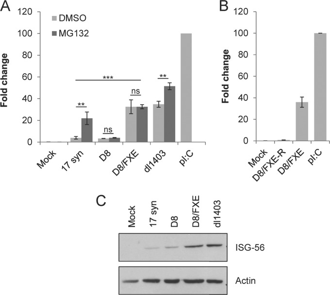 FIG 4