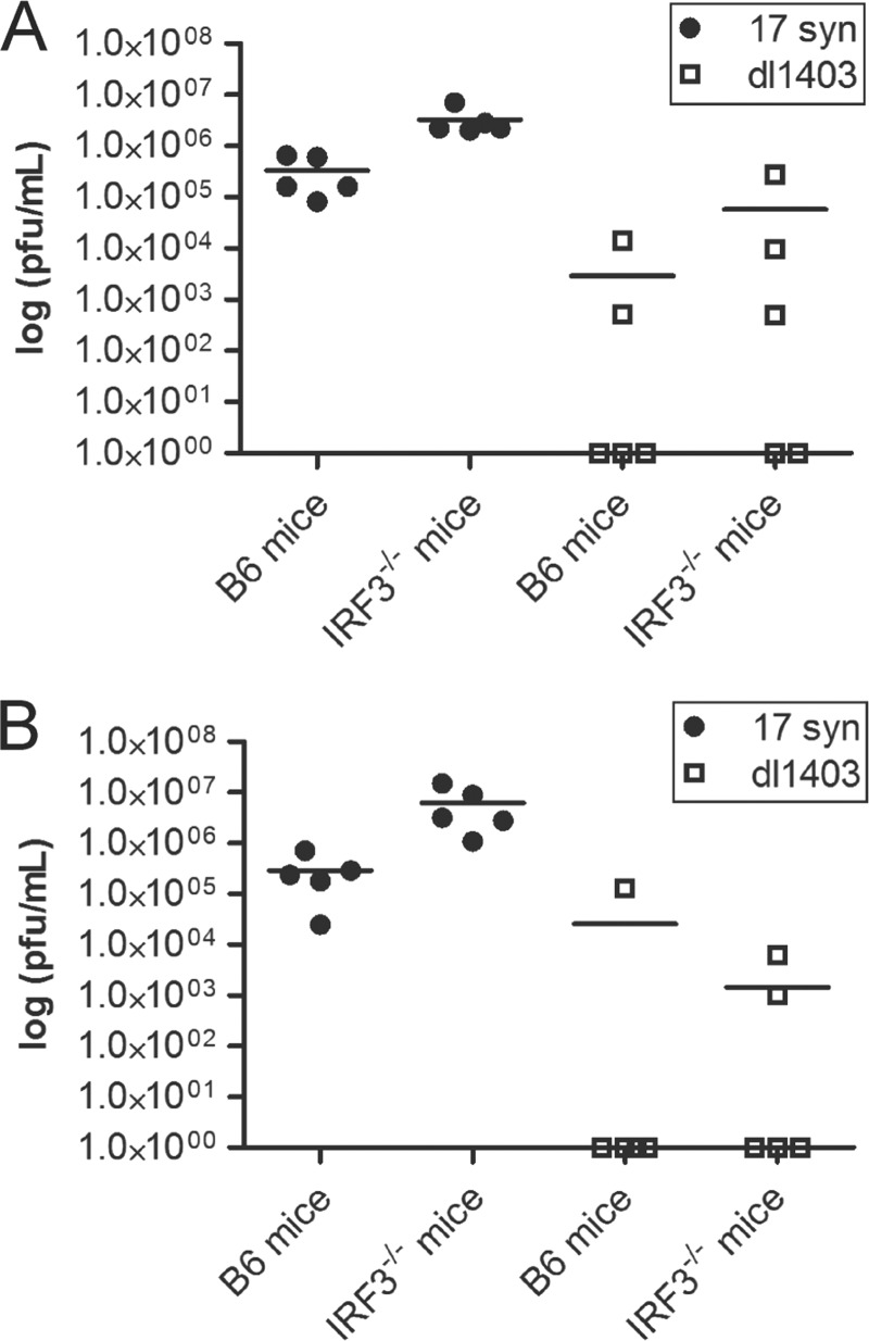 FIG 5