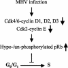 FIG. 10.