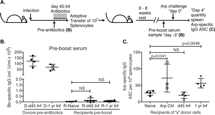 Fig 5