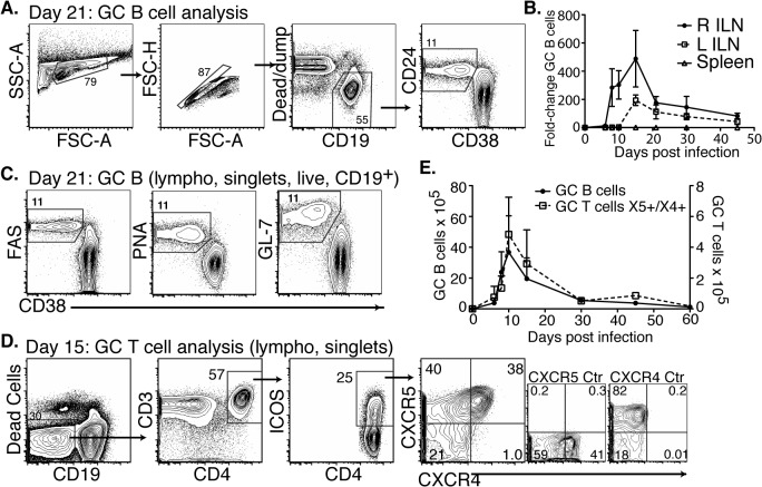 Fig 3